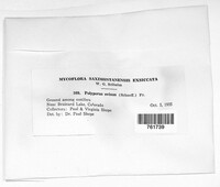 Image Associated With the Occurence